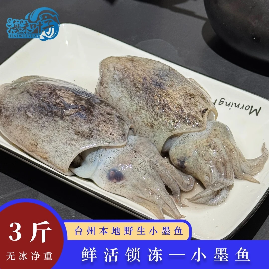 海未叶子本地新鲜正宗小墨鱼渔船捕捞/锁鲜顺丰快递包邮到家