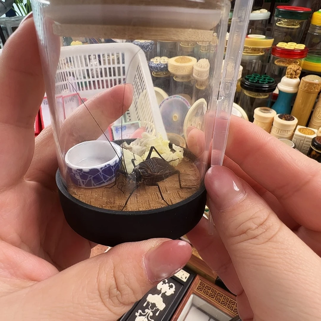 哈哈哈生态罐➕麒麟