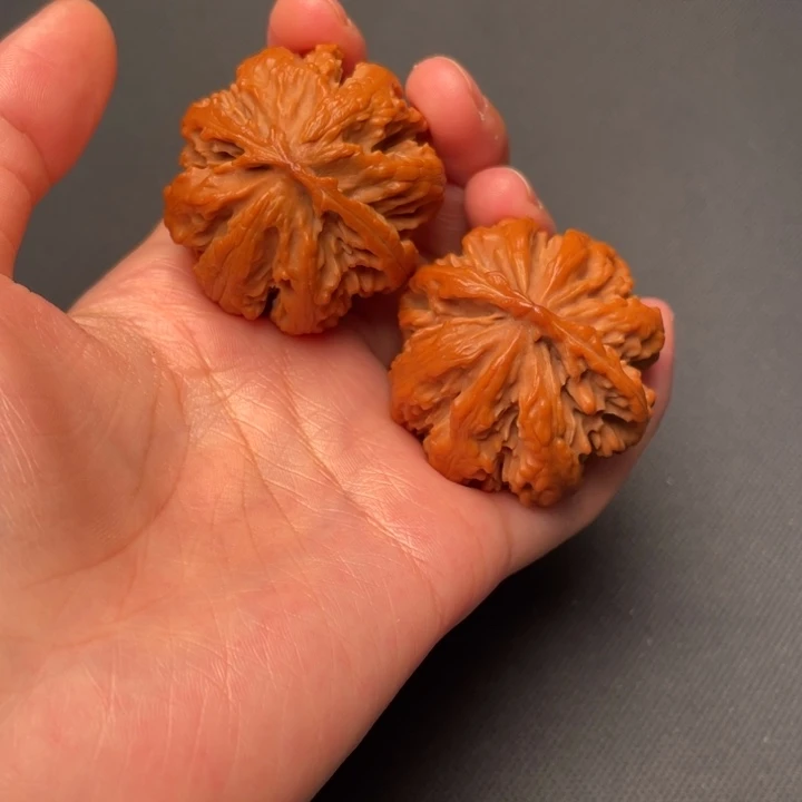 菩提籽类秦岭野生核桃文玩