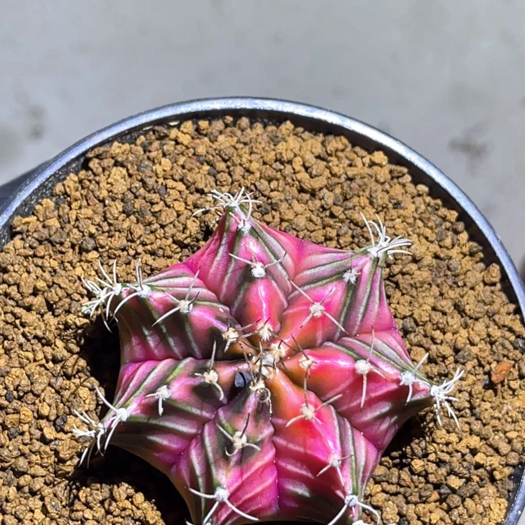 人***路实生哈哈哈哈哈哈