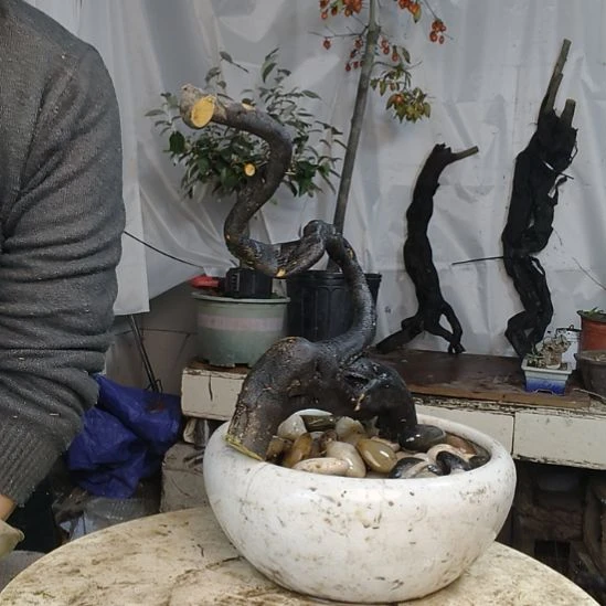 赵***华完全开放一个一个一个一个一个