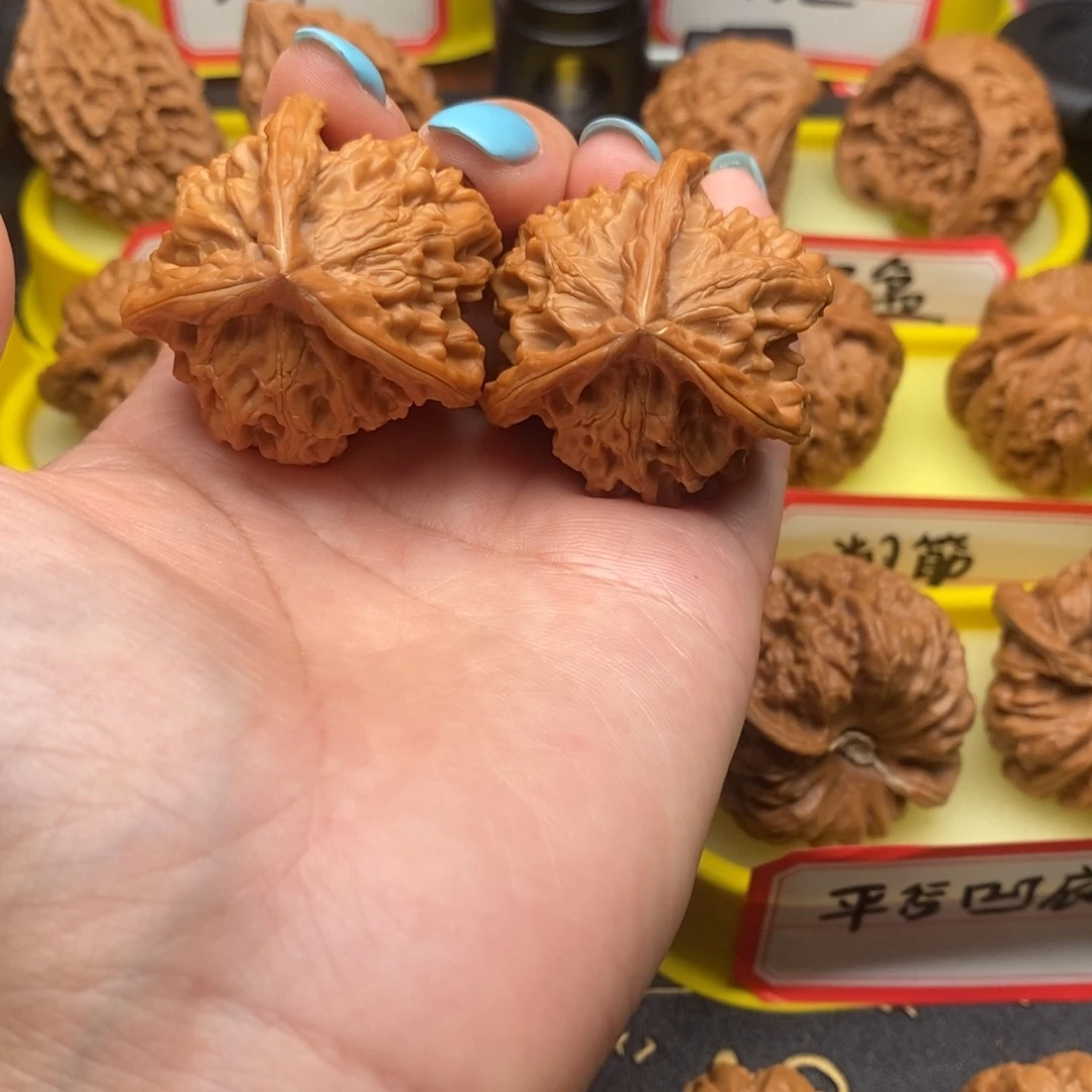 菩提籽类三棱棱棱