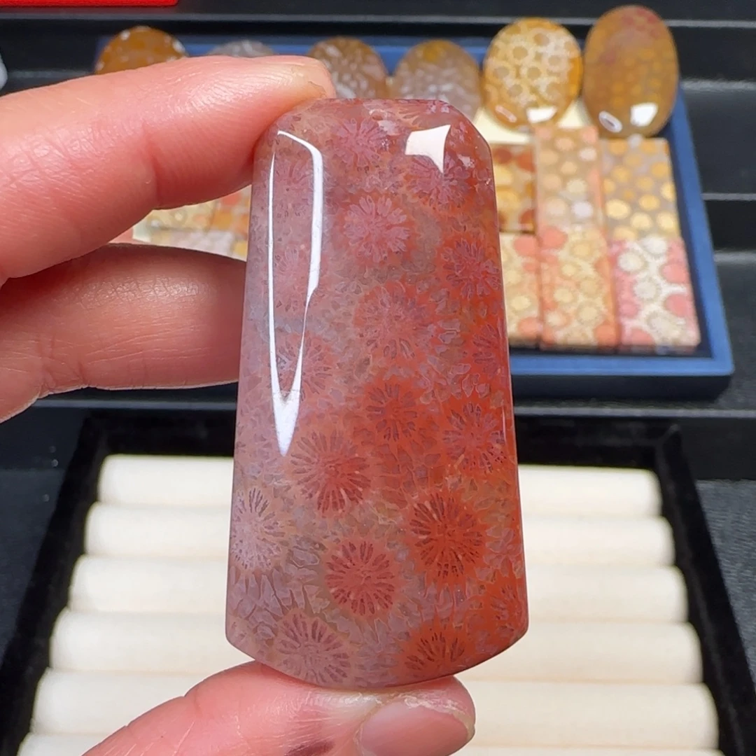 硅化玉未镶嵌项链天然珊瑚玉大素面吊坠可做手把件