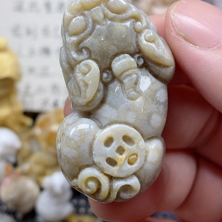 颈饰未镶嵌硅化珊瑚（珊瑚玉）