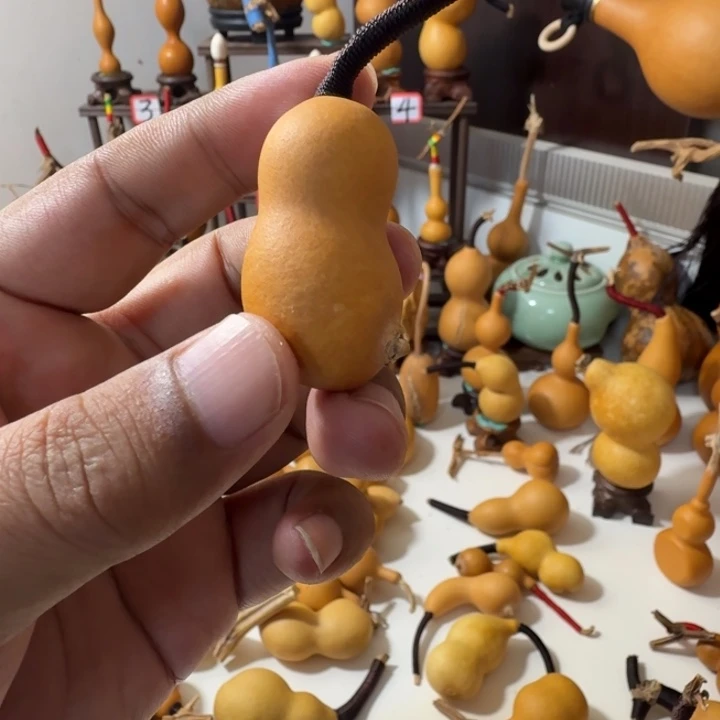 这个世界没有什么