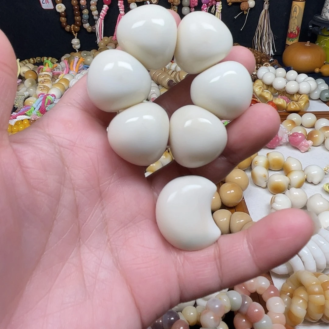 吊坠菩提根/象牙果