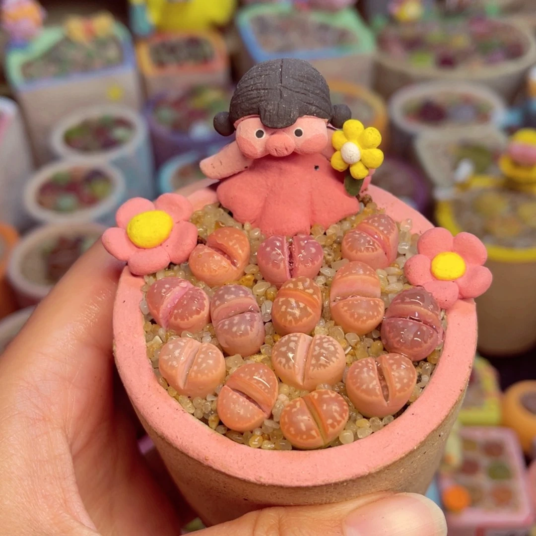 L**A980. 67865796687678877