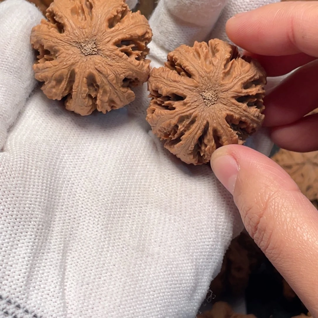 蛋***蛋桃核吊坠1 秦岭灯笼野生小众