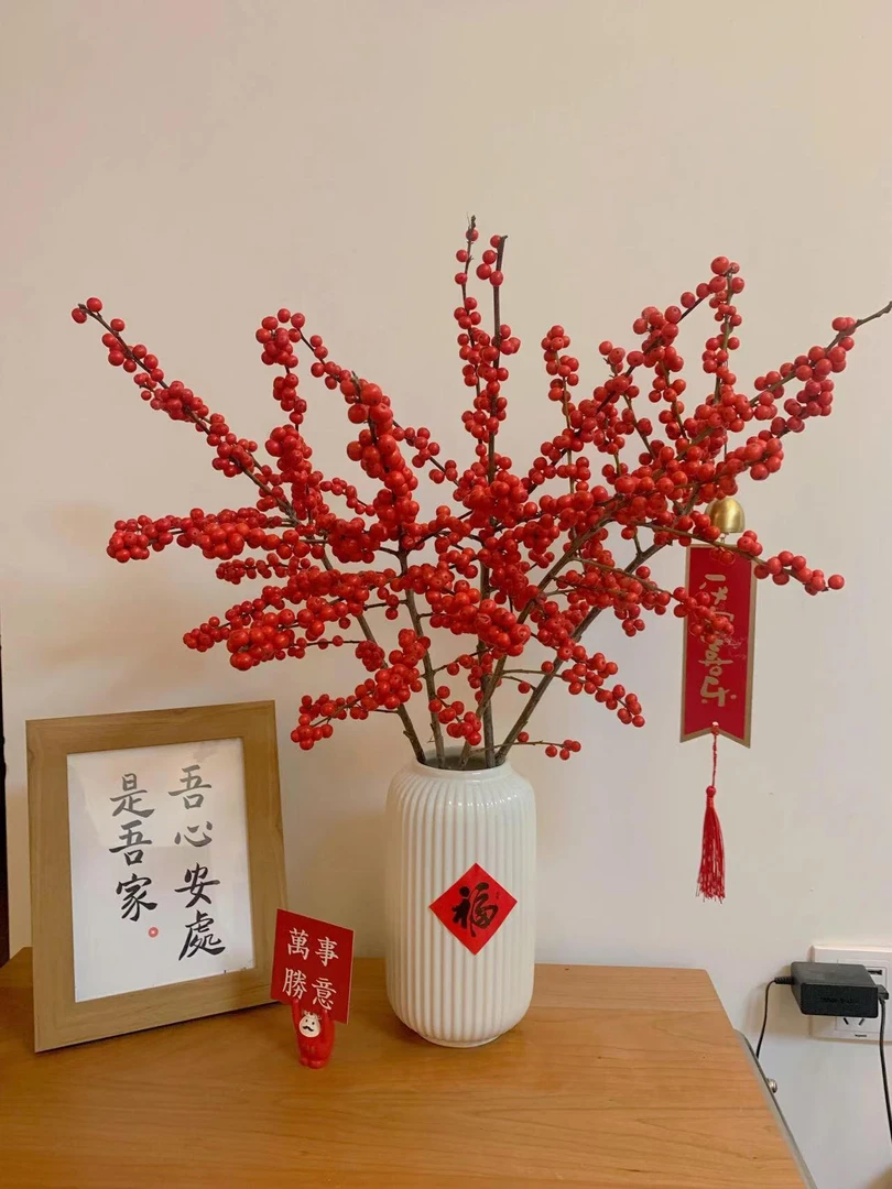 【年宵冬青】秋实冬青40cmA 高品质鲜切5枝装客厅年宵云南直发HBJ
