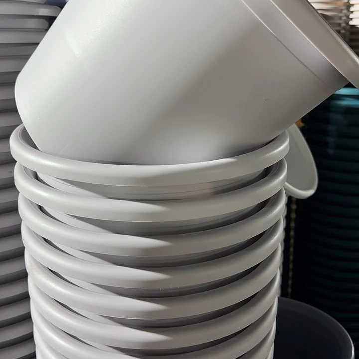 四季6号新灰白无托7个特价微瑕