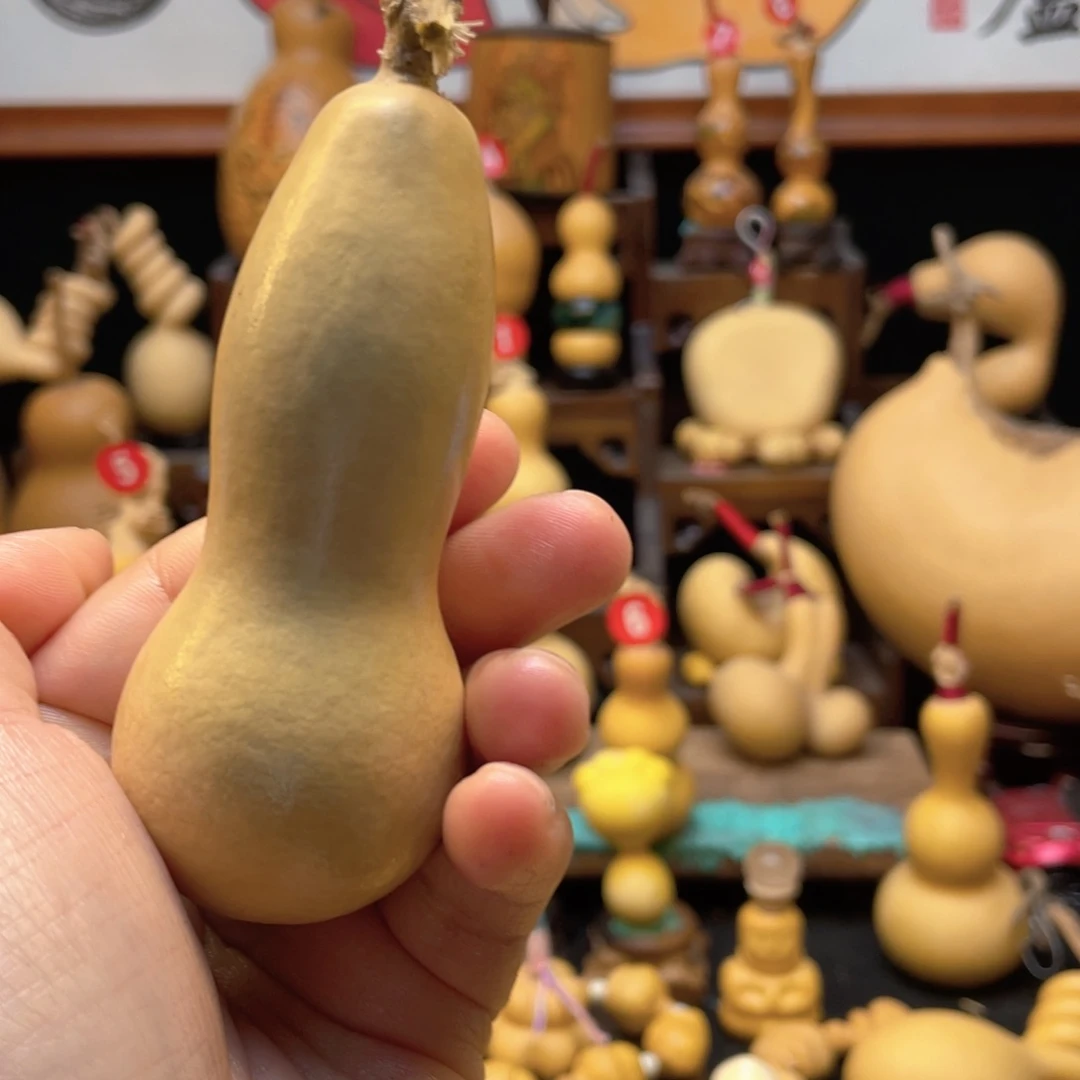 風**山大自然的秘密第十一章