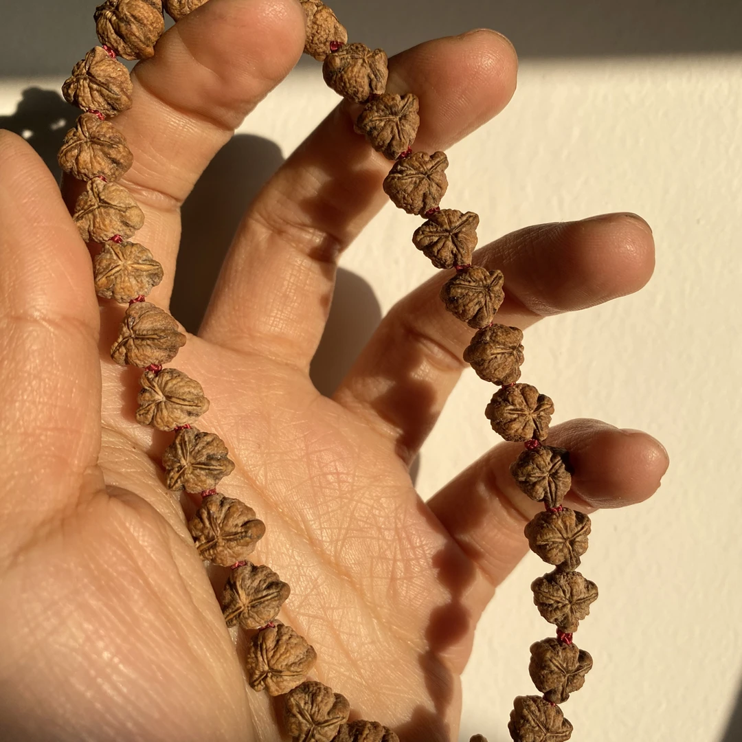 吞噬霸王花稀有品卡9百香籽菩提红芽手串108热振柏香籽文玩长串