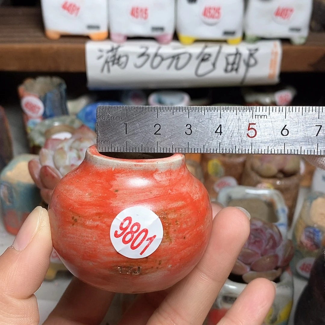 红陶拍5送一个小