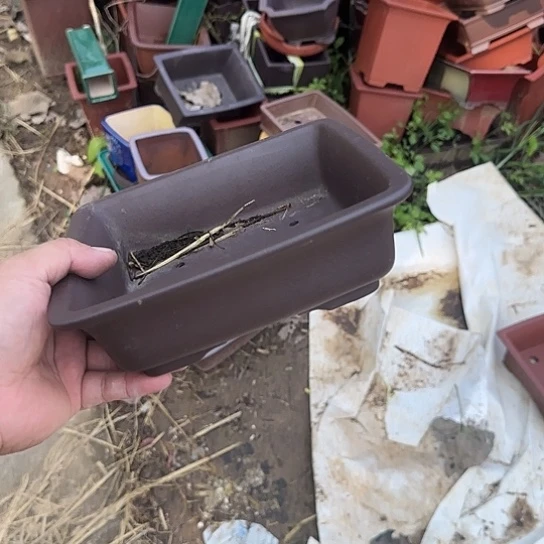 是一个不知名作家与著名导演兼