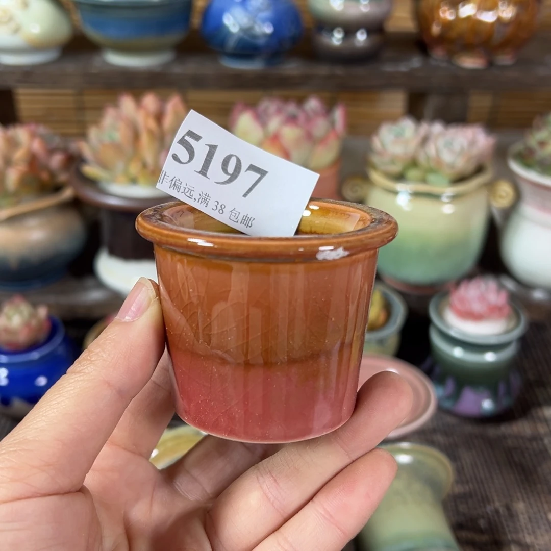 红陶景德镇陶瓷……