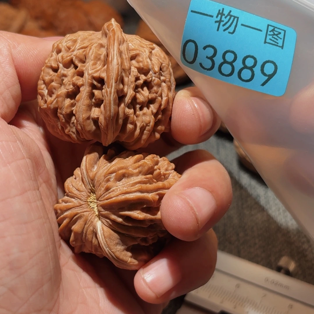 文玩核桃把件蓟县楼