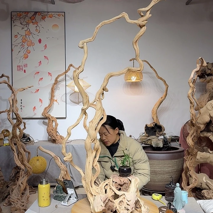 境***造杜鹃根艺术中心根