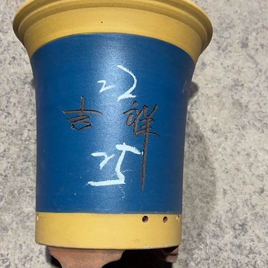 紫砂工艺厂……紫砂工艺厂……