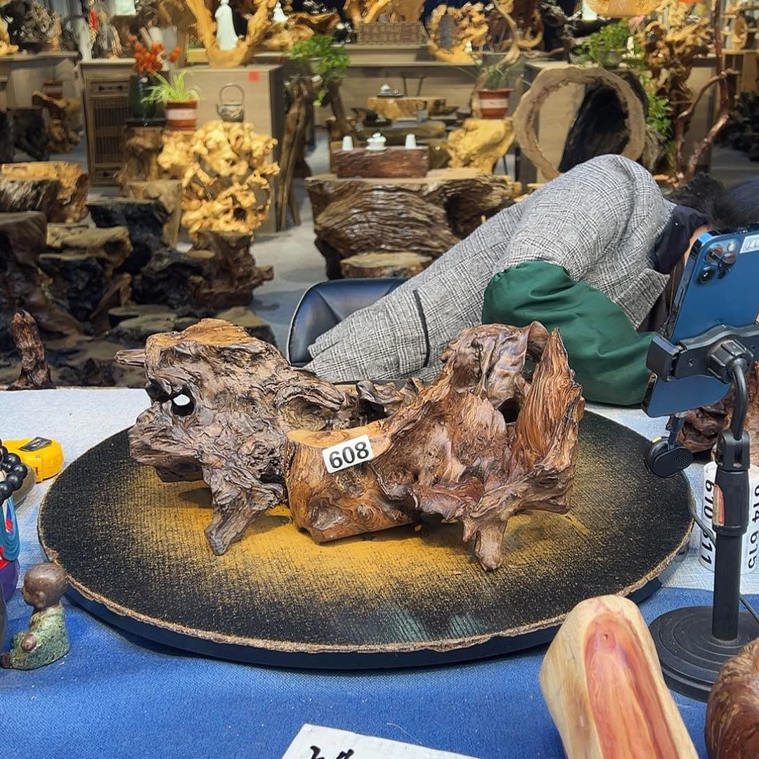 清***心木608/4wwwwwwwwwwwwww