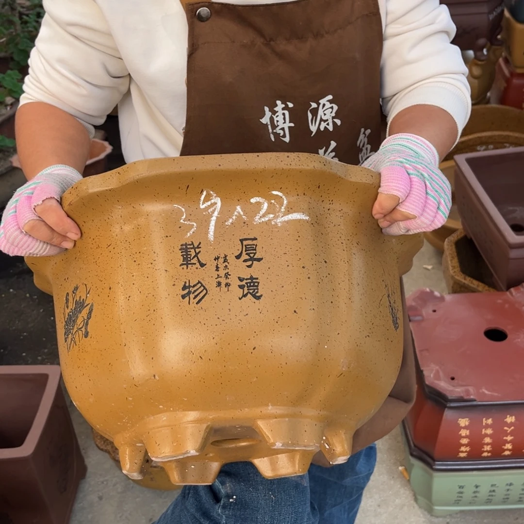 底槽青花盆盆景艺术