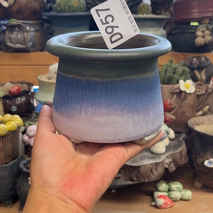 你是一个很爱他了…………957