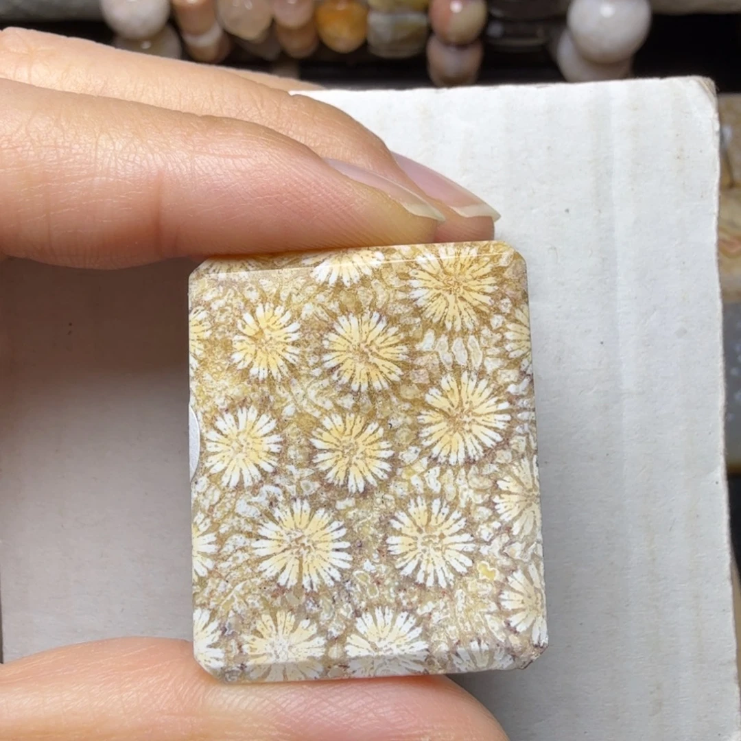 硅化玉未镶嵌清晰满花，背面骨骼花