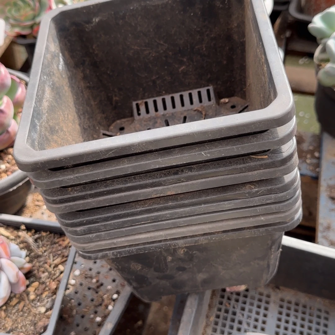 佐***人一物一拍包装收缩花旱