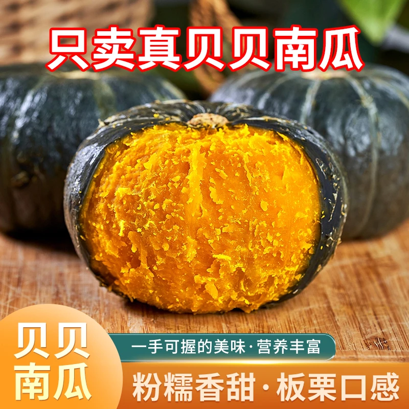 正宗贝贝南瓜粉糯香甜板栗南瓜可作宝宝辅食营养减脂餐现摘现发