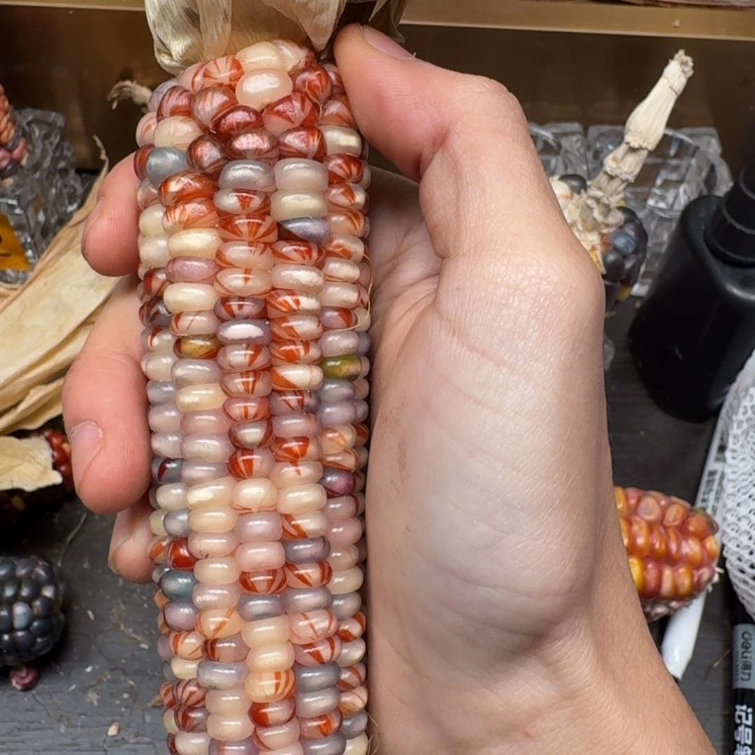 柏香籽/百香籽吊坠佩**姐