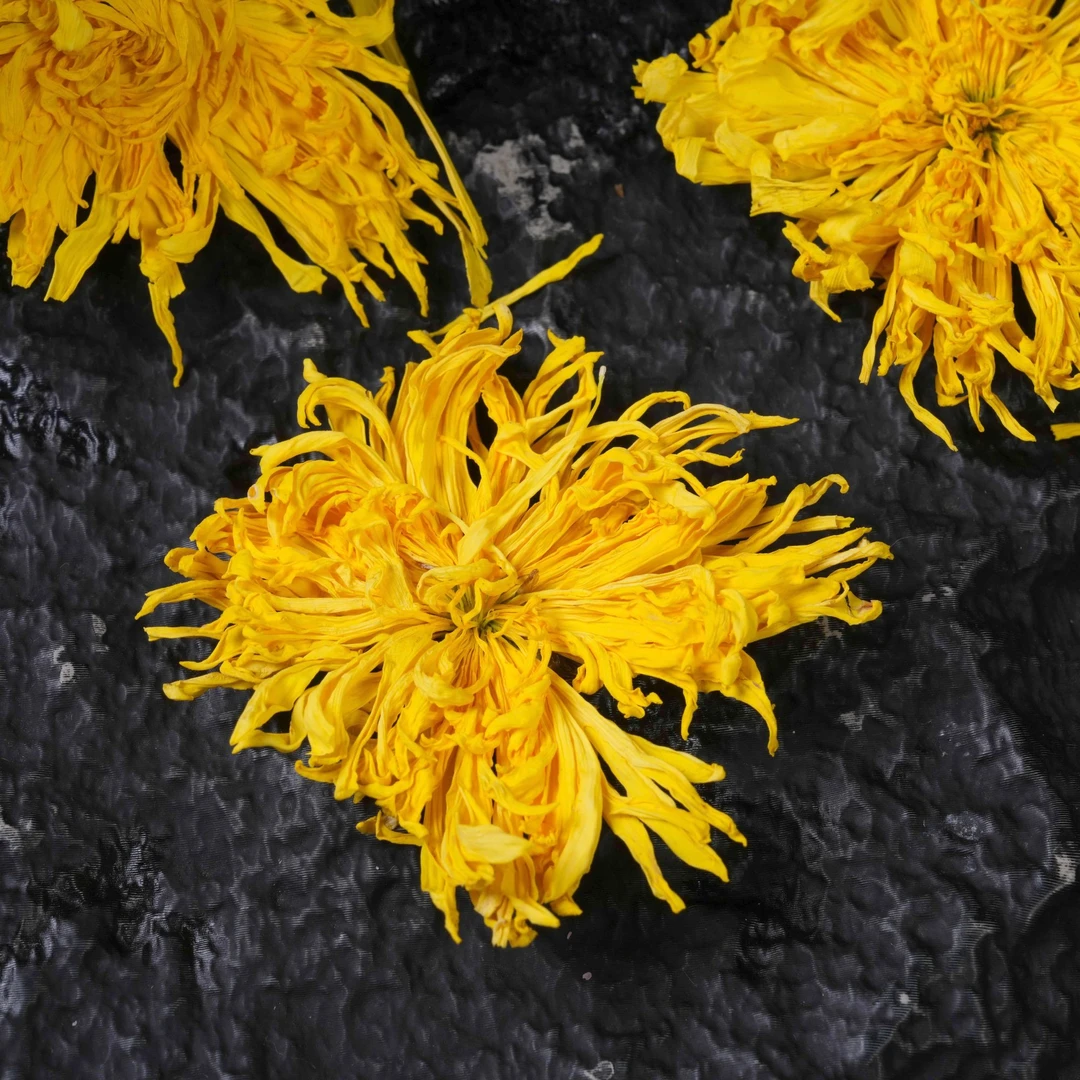 【一包试喝】金丝皇菊菊花茶独立包装大朵泡开约6 - 8厘米新花头茬