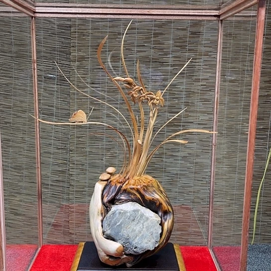 柏木（崖柏）汶*太行崖柏兰花抱石