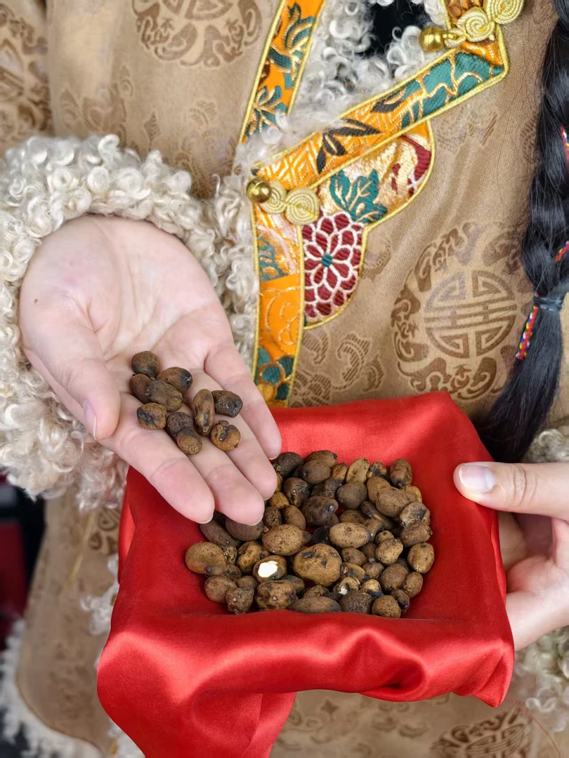 【娜金山货】现收地下明珠参