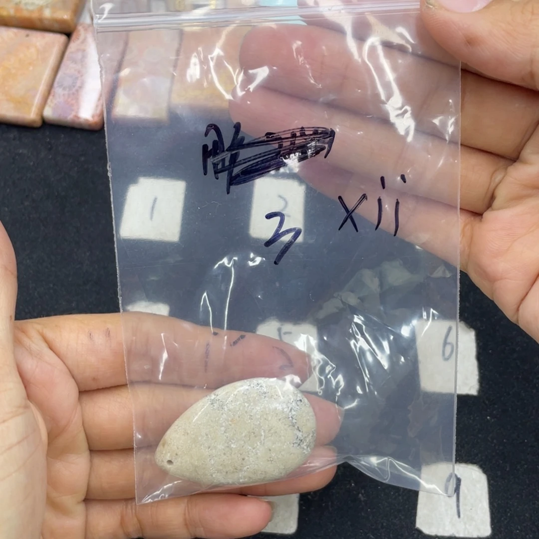 硅化珊瑚（珊瑚玉）颈饰合金x**_