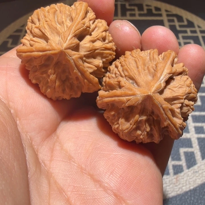 把件猴头核桃御龙正奔