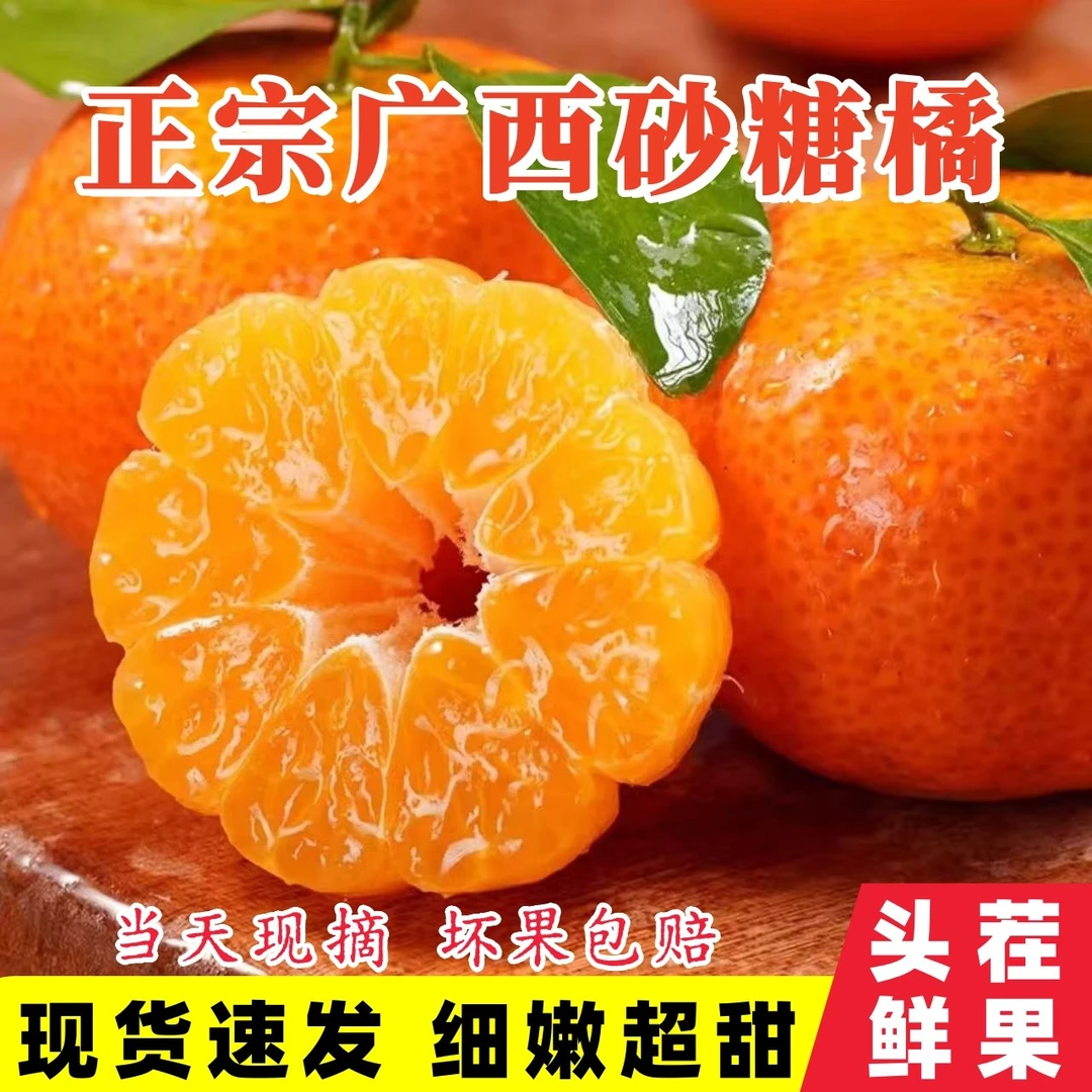 【生鲜专线】正宗广西沙糖橘应季水果香甜多汁果园直发带箱5斤装