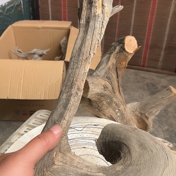 柏木（崖柏）立***抵太行工艺品