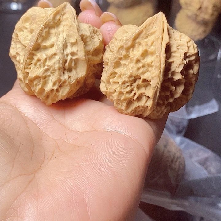 把件文玩核桃51-42mm