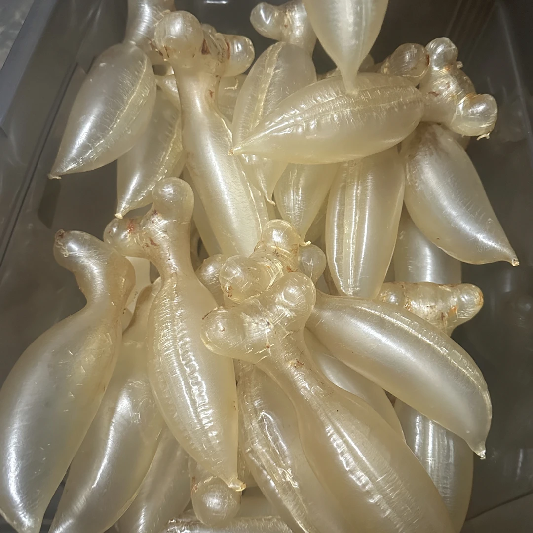 鱼胶花胶超精选正蜘蛛公深海名贵滋补食用干货天然