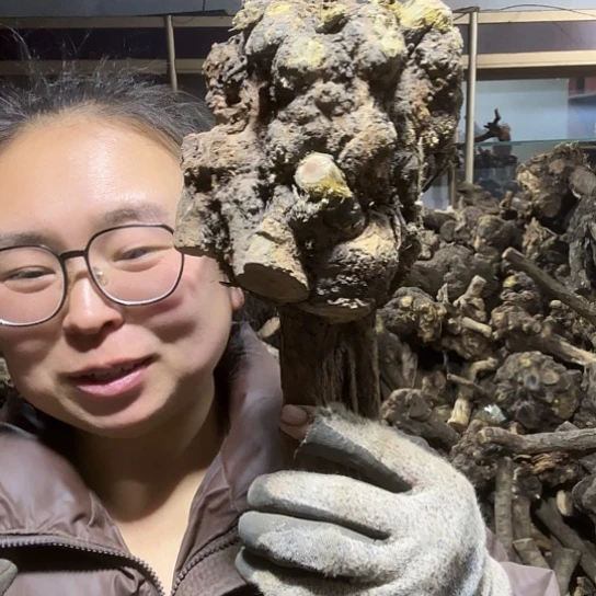 香榧木救**旅火琉璃的毛料摆件