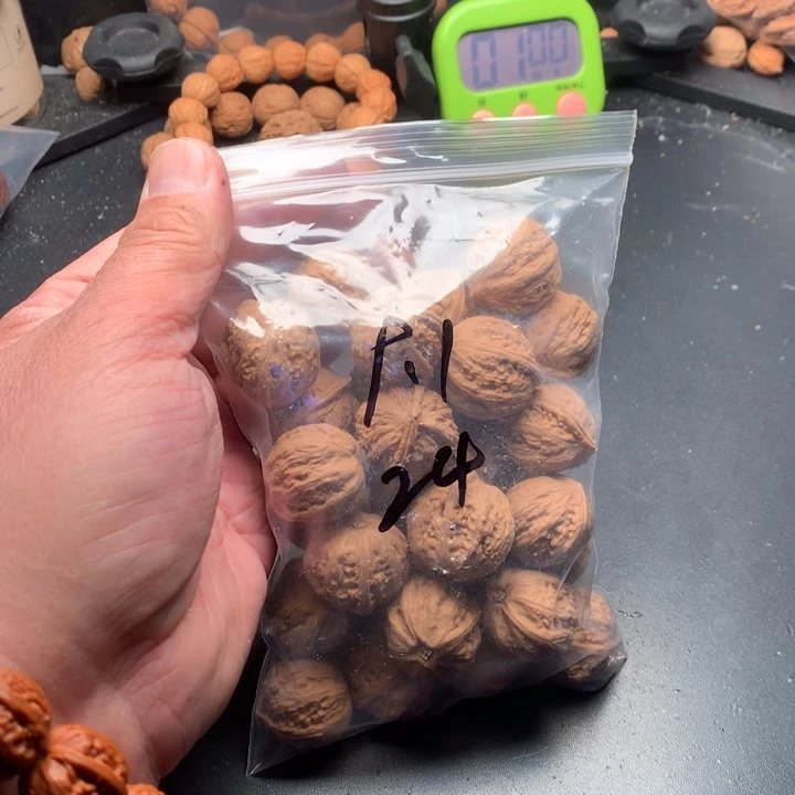 文玩核桃吊坠9*1野生精品小核桃散籽