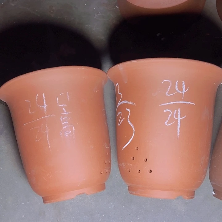 周深周深周深周深周深