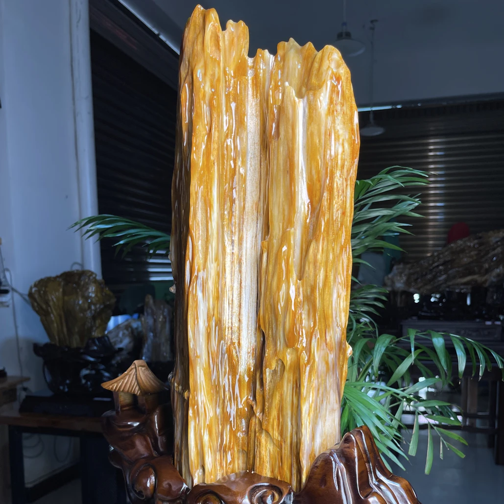 远古树化玉缅甸天然树化玉摆件树化石奇石玄关摆件