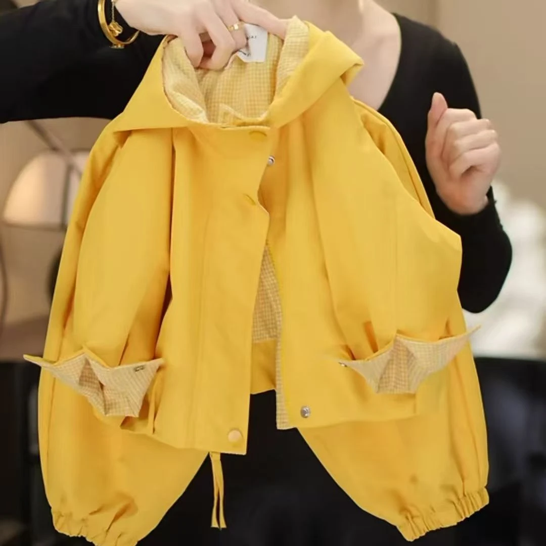 儿童套装春季2025新款韩版洋气连帽春装中小童超萌可爱春季两件套