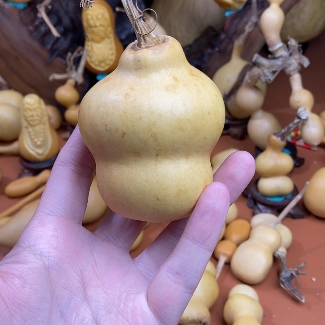 菖***蒲教练咯教练咯教练葫芦