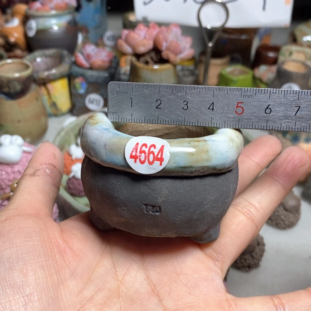 拍3送一个小礼物