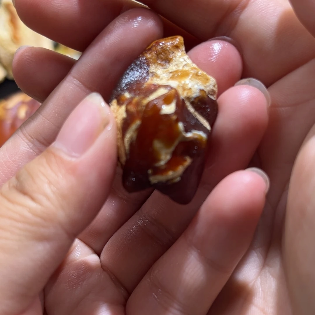 定制琥珀未镶嵌红白妖孽全皮