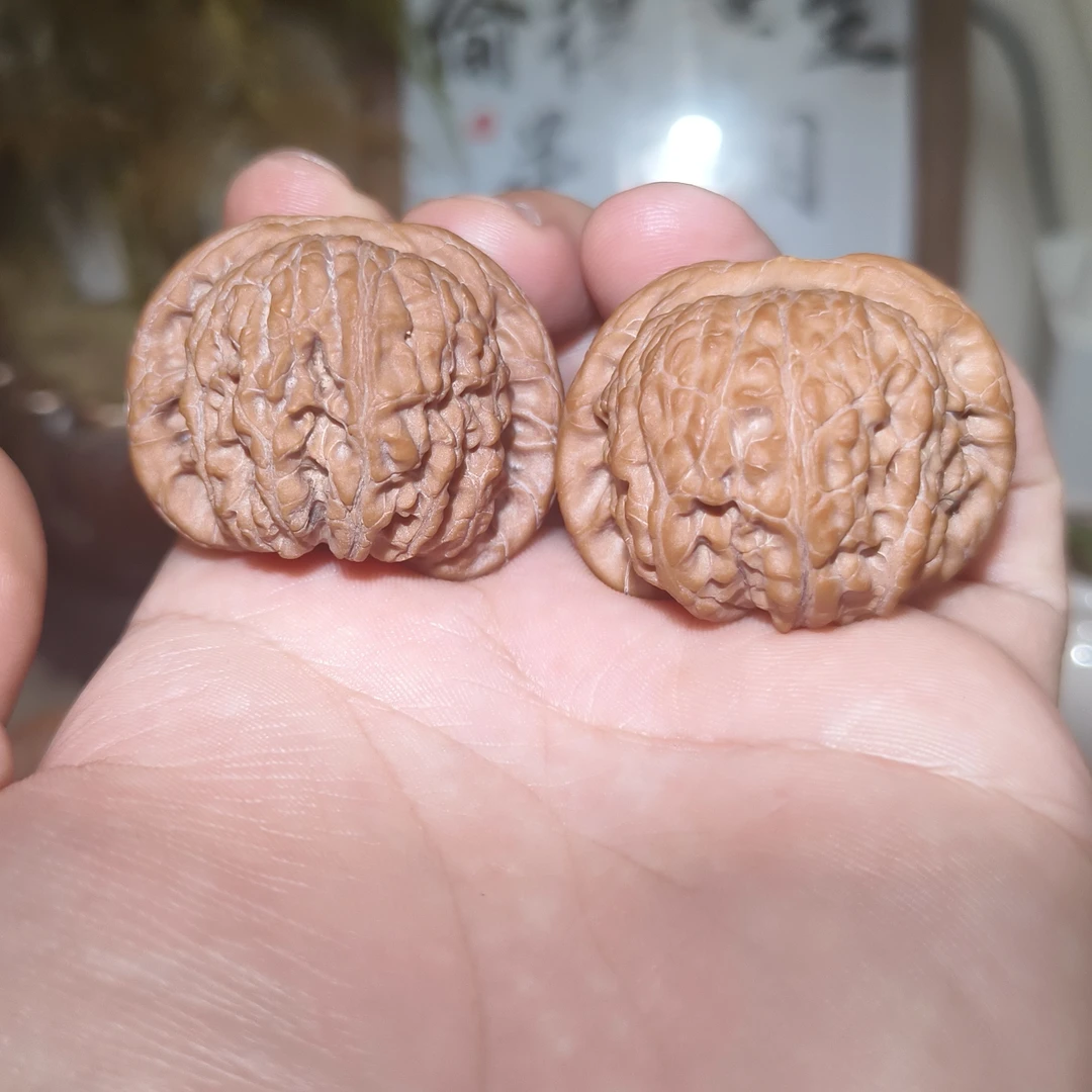 【老树血麒麟】全品无修精品头货40尺寸