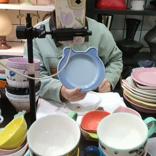 瓷高温瓷釉下彩菜盘