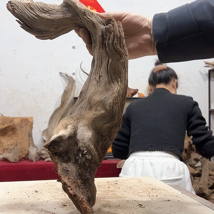 柏木爱**缘我们的生活也