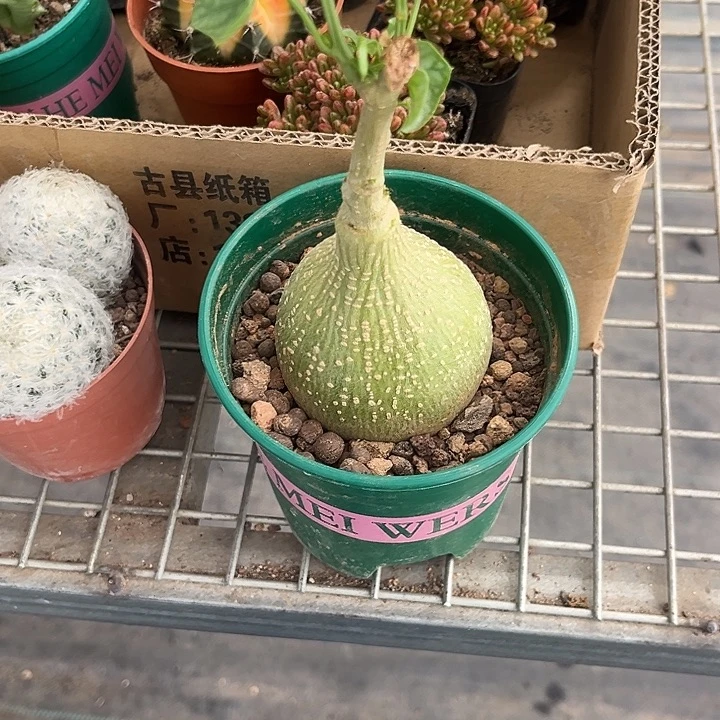 圣****我也不知道我为什么要这样